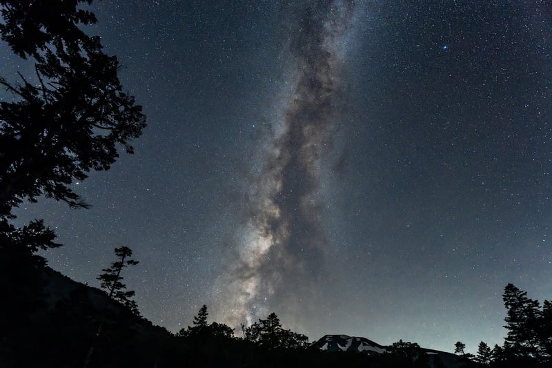 Gardeners connecting under the stars